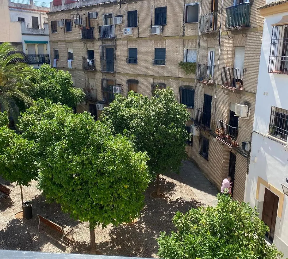 Kwatera prywatna Apartament La Escalerita Kordoba